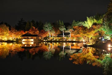 国営昭和記念公園 秋の夜散歩に投稿された画像（2025/11/9）