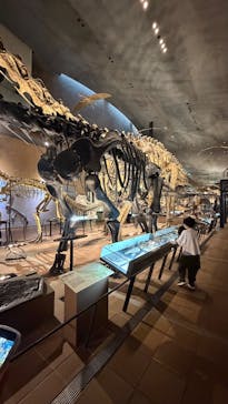 北九州市立自然史・歴史博物館（いのちのたび博物館）に投稿された画像（2025/11/9）