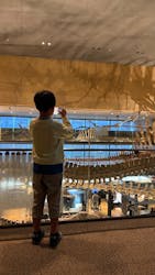 北九州市立自然史・歴史博物館（いのちのたび博物館）に投稿された画像（2025/11/9）