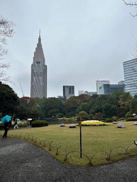 新宿御苑に投稿された画像（2025/11/9）