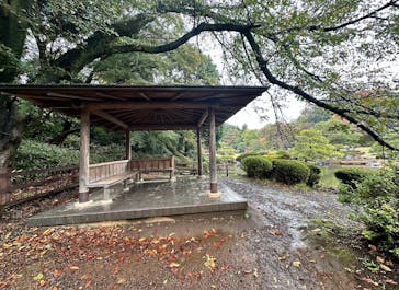 新宿御苑に投稿された画像（2025/11/9）