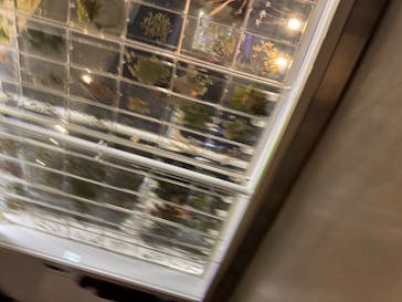 国立科学博物館に投稿された画像（2025/11/9）