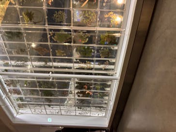 国立科学博物館に投稿された画像（2025/11/9）