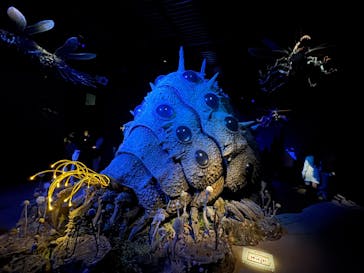 金曜ロードショーとジブリ展（静岡展）に投稿された画像（2025/11/9）