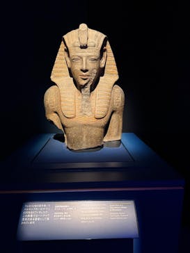 ACN ラムセス大王展 ファラオたちの黄金に投稿された画像（2025/11/9）