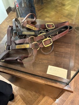 ノーザンホースパークに投稿された画像（2025/11/9）