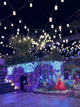 ひらかたパークに投稿された画像（2025/11/9）