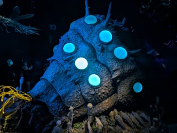 金曜ロードショーとジブリ展（静岡展）に投稿された画像（2025/11/9）