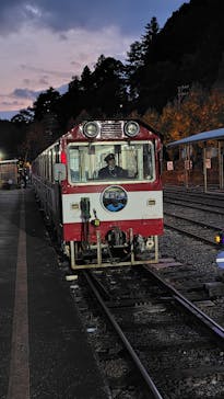 大井川鐵道株式会社に投稿された画像（2025/11/9）