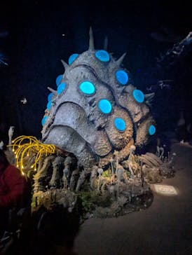 金曜ロードショーとジブリ展（静岡展）に投稿された画像（2025/11/9）