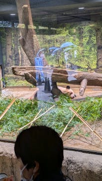 恩賜上野動物園に投稿された画像（2025/11/9）