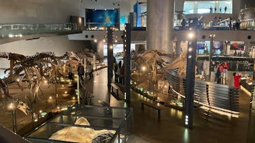 福井県立恐竜博物館に投稿された画像（2025/11/9）