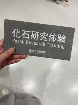 福井県立恐竜博物館に投稿された画像（2025/11/9）