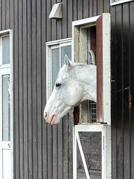 ノーザンホースパークに投稿された画像（2025/11/9）