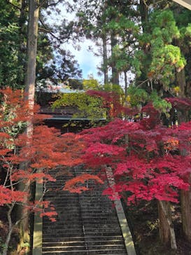 延暦寺に投稿された画像（2025/11/9）