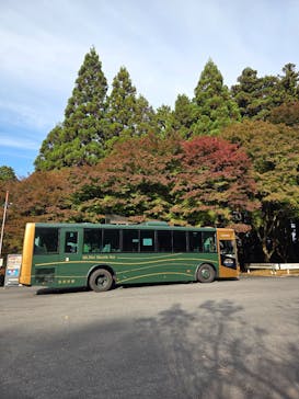 延暦寺に投稿された画像（2025/11/9）