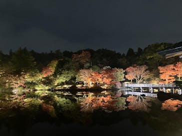 国営昭和記念公園 秋の夜散歩に投稿された画像（2025/11/9）