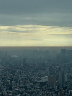 東京スカイツリーに投稿された画像（2025/11/9）