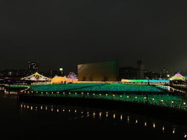 東京メガイルミに投稿された画像（2025/11/9）