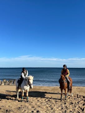 海の乗馬倶楽部　エルカバージョに投稿された画像（2025/11/9）