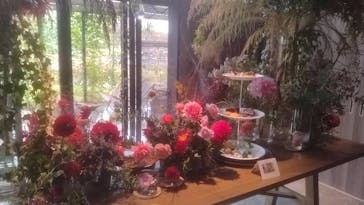 いばらきフラワーパークに投稿された画像（2025/11/9）