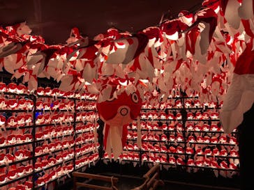 NARA KINGYO MUSEUMに投稿された画像（2025/11/9）