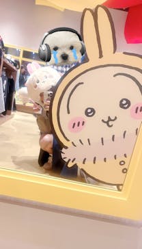 ちいかわパークに投稿された画像（2025/11/9）