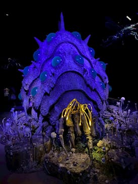 金曜ロードショーとジブリ展（静岡展）に投稿された画像（2025/11/9）