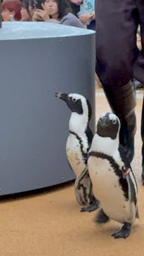 マクセル アクアパーク品川に投稿された画像（2025/11/9）