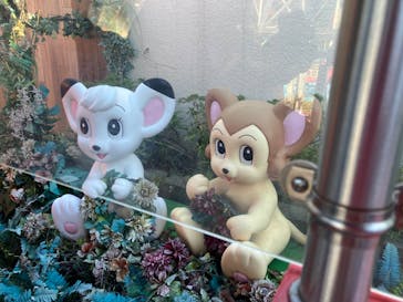 西武園ゆうえんちに投稿された画像（2025/11/9）