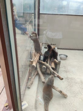 横浜・八景島シーパラダイスに投稿された画像（2025/11/9）