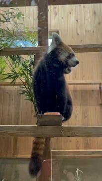 名古屋市東山動植物園に投稿された画像（2025/11/9）