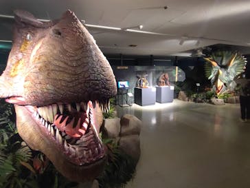 海洋堂ホビーランドに投稿された画像（2025/11/9）