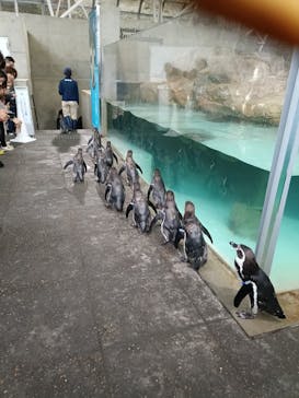 城崎マリンワールドに投稿された画像（2025/11/9）