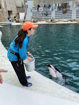 城崎マリンワールドに投稿された画像（2025/11/9）