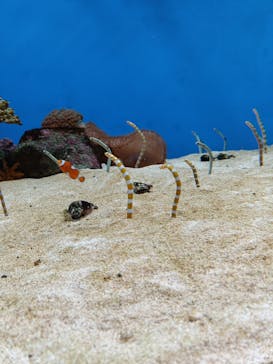 城崎マリンワールドに投稿された画像（2025/11/9）