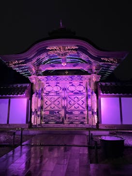 ZEN NIGHT WALK KAMAKURAに投稿された画像（2025/11/9）