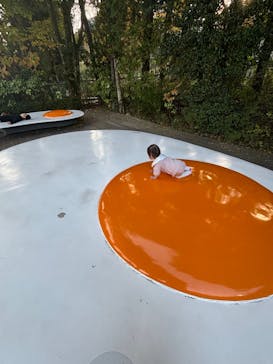 彫刻の森美術館に投稿された画像（2025/11/9）