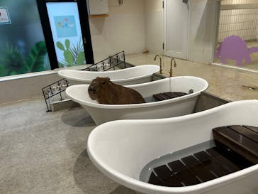 アニタッチ 東京ドームシティに投稿された画像（2025/11/9）