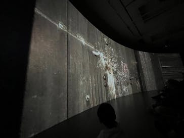 正倉院 THE SHOW ―感じる。いま、ここにある奇跡―　@上野の森美術館に投稿された画像（2025/11/9）