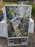 名古屋市東山動植物園に投稿された画像（2025/11/10）