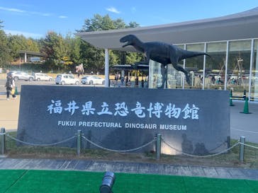 福井県立恐竜博物館に投稿された画像（2025/11/9）