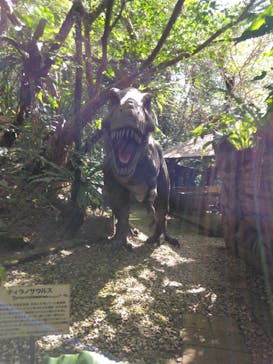 御菓子御殿　名護店　やんばる亜熱帯の森DINO恐竜PARKに投稿された画像（2025/11/9）
