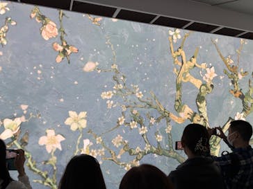 ゴッホ展　家族がつないだ画家の夢（東京都美術館）に投稿された画像（2025/11/9）