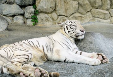 東武動物公園に投稿された画像（2025/11/9）