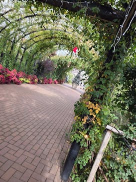 横浜イングリッシュガーデンに投稿された画像（2025/11/10）