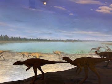 福井県立恐竜博物館に投稿された画像（2025/11/10）