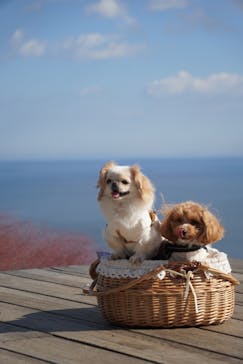 ACAO FORESTに投稿された画像（2025/11/10）