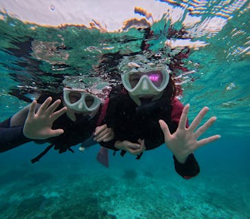 沖縄マリンサービス碧に投稿された画像（2025/11/10）