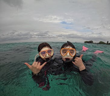 沖縄マリンサービス碧に投稿された画像（2025/11/10）